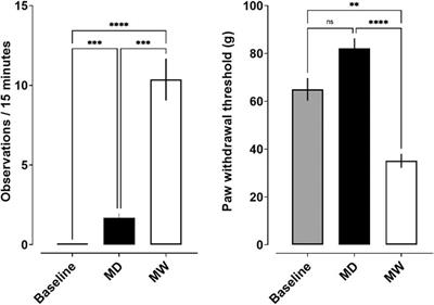 Impact of Morphine Dependence and Withdrawal on the Reinforcing Effectiveness of Fentanyl, Cocaine, and Methamphetamine in Rats